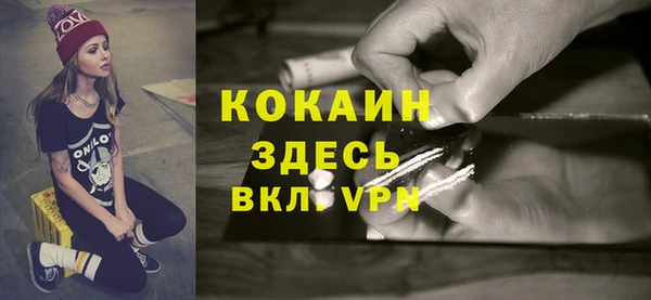 крисы Инсар