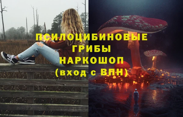 гидра Иннополис