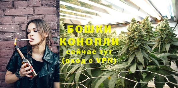 гидра Иннополис