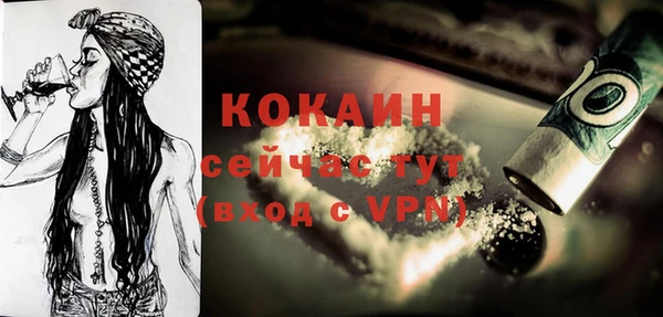 крисы Инсар