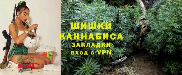 крисы Инсар