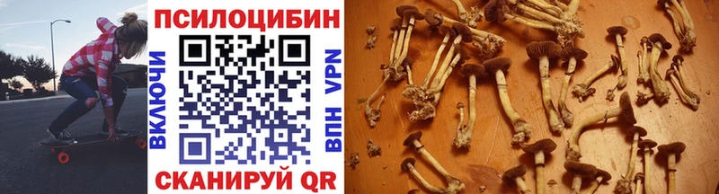 Псилоцибиновые грибы Psilocybe  Купить закладки  Киренск 
